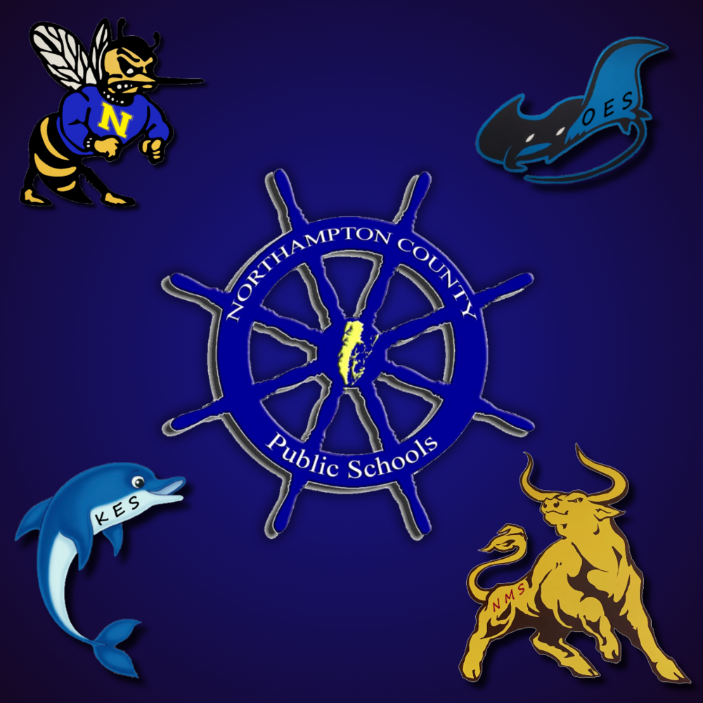 The 4 Mascots of NCPS Schools