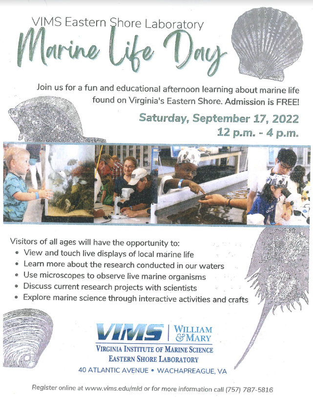 Marine life day